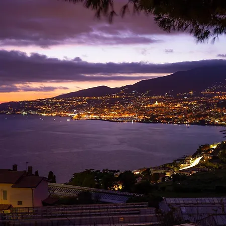 Palms - Sea View - Happy *