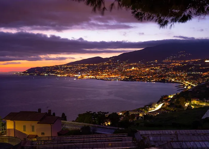 Palms - Sea View - Happy *